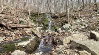 Hiking At Breakneck Ridge