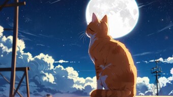 How Much I Earned... Or Lost With Hyperliquid