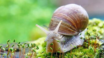 A selection of interesting facts №18