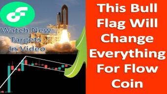 This Bull Flag Will Change Everything For Flow Coin