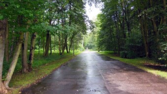 Very warm, humid and stormy today - My Actifit Report Card: July 16 20248