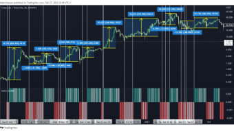 Back Test back test of my number 1 Strategy Double or Nothing with MACD and Cycle Timing!!!