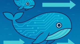 The Whales Are Moving