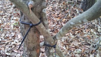 Apocalyptic Homesteading (Day 7)