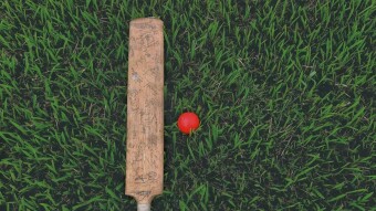 Alfi Explores Sports: C is for Cricket