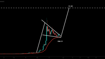 Chiliz (CHZ) has broken out the bull flag for big move