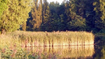 Last days in Poland, soon a change of climate, smells and tastes and a test of fitness - My Actifit Report Card: September 9 2023
