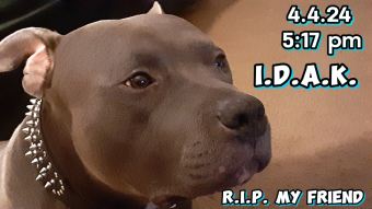 4.4.24 A Sad Day for TheCryptoUnderground