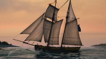 Shark Bait - Naval Action