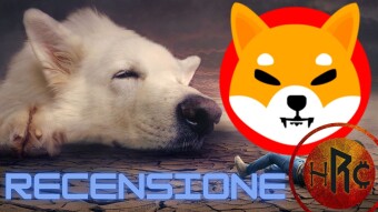 SHIBA INU: Tutto Quello che c'è da Sapere - Recensione Completa