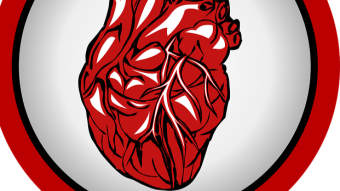 How does our cardiovascular system work?
