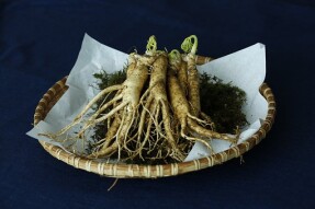 The Nutrition of Ginseng & Iron