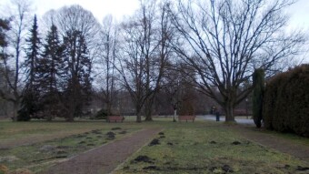 The return of a mild winter, but still a very pleasant walk - My Actifit Report Card: February 1, 2025