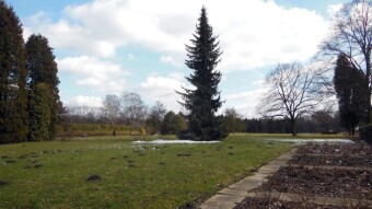 Pleasant day, slightly warming - My Actifit Report Card: March 12 2023