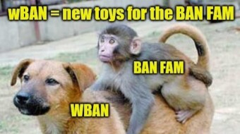 Banano Ripening - wBAN and the Binance Smart Chain
