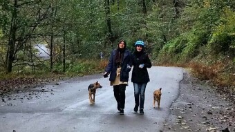 Friendship Is Priceless, The Hardship of The Road Proves It!