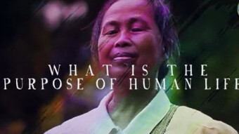 THE PURPOSE OF HUMAN LIFE