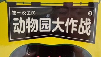 Chinese book