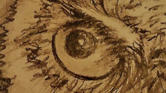 Cryptonian Morning Owl or Midnight Owl ... from a health perspective?