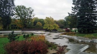 Rainy Tuesday and the continuation of autumn weather - My Actifit Report Card: October 14, 2025
