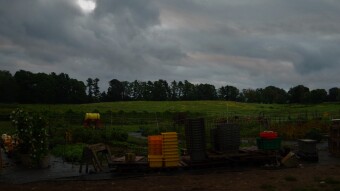 Some of the issues around modern food production