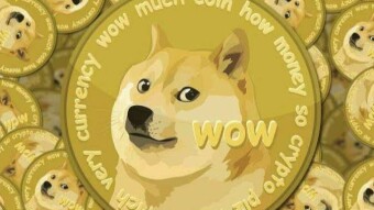 How meme cryptos making a billions of dollar