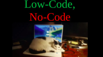 Low-Code, No-Code Technique is a Double-Edged Sword