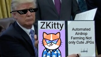 Not Only A Cute Cat JPG - ZKitty Innovates Blockchain Farming