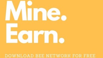 Bee Network | Bee Games