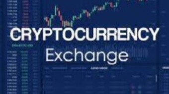 Cryptocurrency: Can I start my own crypto exchange?
