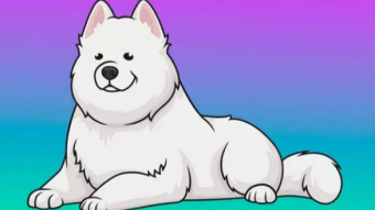 What is Samoyedcoin (SAMO)?