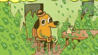 THIS IS FINE*   (Edited March 2020)