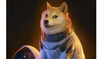 Dogecoin, Dogecoin cash and tipestry.