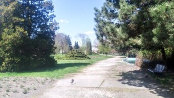 A chilly but spring-like Wednesday - My Actifit Report Card: April 22, 2026