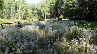 The last days of the great May holiday in the Lublin region