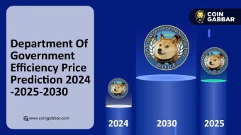 Department Of Government Efficiency Price Prediction 2024-2025-2030