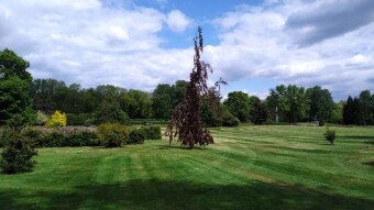 A pleasant walk in a cool atmosphere - My Actifit Report Card: May 9, 2025