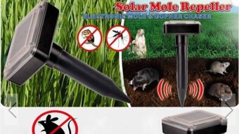 How to Keep Rodent Pests Out of Your Garden Organically Without Endangering Them Using Repeller Iltrasonic Mouse Repellent.