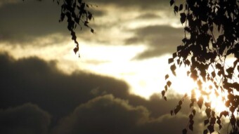A warm, pleasant day for a long walk, I missed the storms - My Actifit Report Card: June 6 2024
