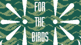 For The Birds. NFTs save the world!
