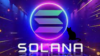 The Truth About Solana (SOL)