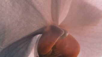 My beautiful orchid
