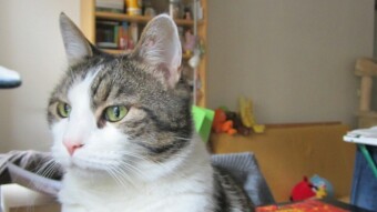 Murphy 2005 - 2017  Teil 1