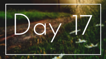 Day 17 from 0 to 1 BTC - Earning update (Day 16) - 0,002 BTC reached !