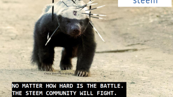 👊 Steem: The Honey Badger of Communities