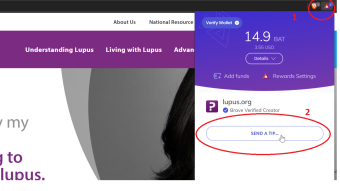 How You can EASILY Participate in #GivingTuesday with Brave