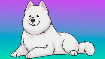 What is Samoyedcoin (SAMO)?