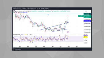 DOGE/BTC on the Rise: Key Levels and the Impact of Upcoming U.S. Elections