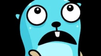 Between Returning Structs and Interfaces in Go