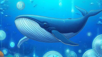 ¿Qué son las ballenas en las criptomonedas?